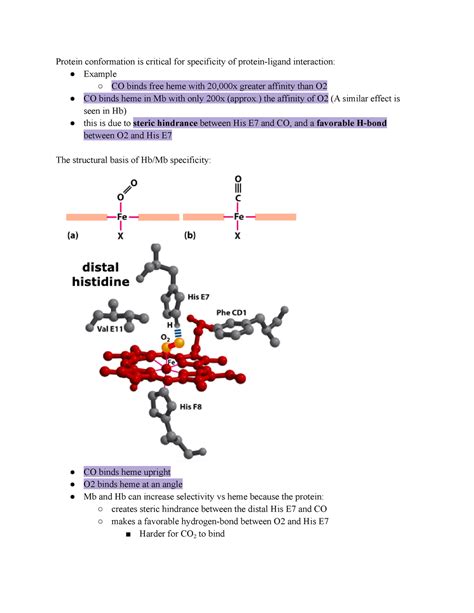 BIOC Lec 5 BIOC 3650 Protein Conformation Is Critical For