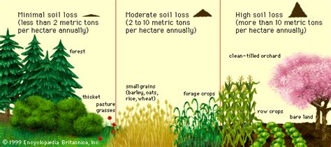 Soil - Erosion, Conservation, Management | Britannica