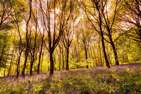 Yorkshire Landscapes – Robert Lee Photography