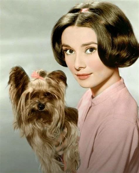 Audrey Hepburn Eternally On Instagram Audrey Hepburn And Mr Famous In