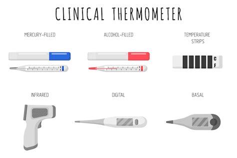 Premium Vector Set Of Medical Thermometers Mercury Filled Alcohol