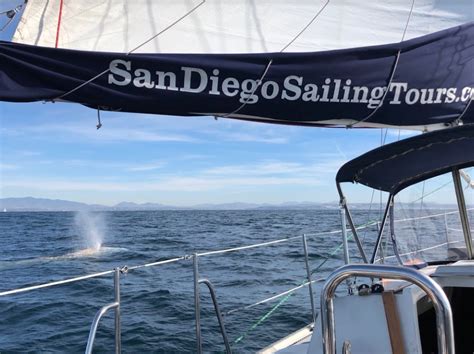 Featured Image: Whale Watching | San Diego Sailing Tours ~ #1 Sailing ...