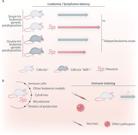 Figure 1 From Worms On Stage Semantic Scholar