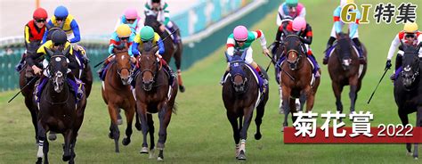 菊花賞2022 指数分析｜g1特集｜競馬予想・競馬情報ならjra Van