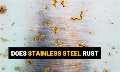 Does stainless steel rust - scribetaste