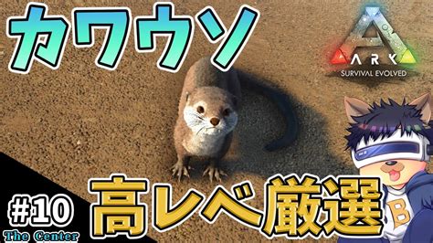 10【arkthe Center】【ゆっくり実況】カワウソを高レベル厳選テイム！夏イベカラー個体探しも！【pc版ローカルark