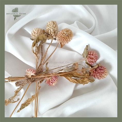 Jual Dried Flower Gomphrena Bunga Kering Asli Import Hias Dekorasi