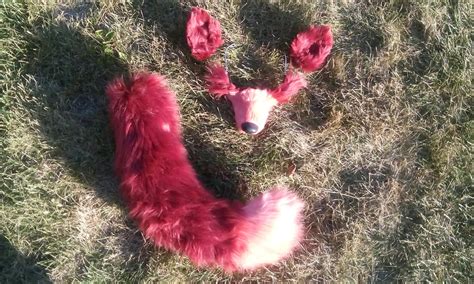 Fnaf Foxy Ears Tail And Muzzle By Okami Wildclaw On Deviantart