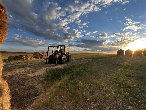 Decoding Buzzwords in Hay Ads | Aden Brook