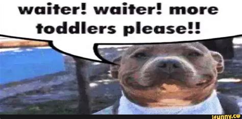 Waiter! waiter! more toddlers please!! - iFunny