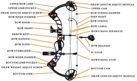 Compound Bow Component Diagram