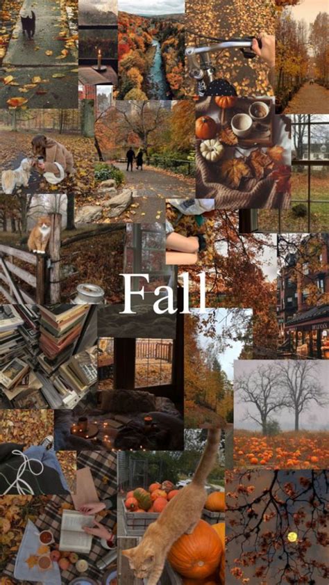 Harvest Harmony Collages Of Autumn S Beauty Seasonal Hues 1 Fab