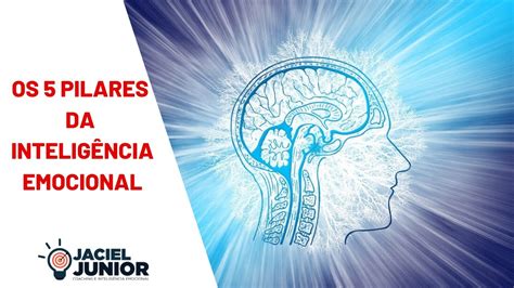 5 Pilares da Inteligência Emocional YouTube