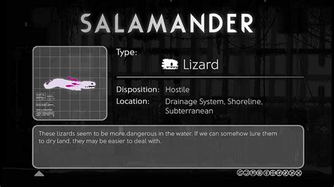 File Salamanderfull Official Rain World Wiki