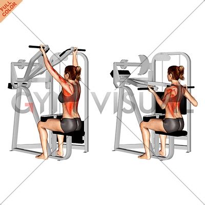 Reverse Grip Machine Lat Pulldown (female)