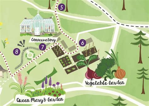 Balmoral illustrated visitor map - Bek Cruddace Illustration