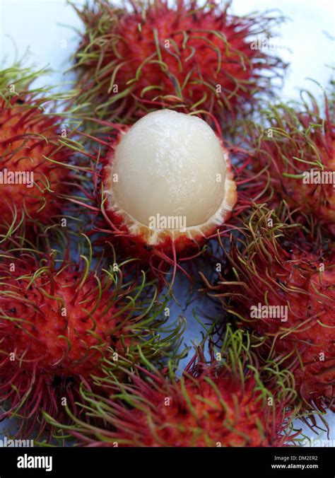 Tropical Fruit Rambutan Stock Photo Alamy