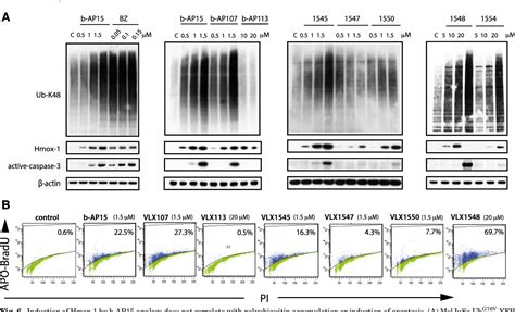 Figure From The S Deubiquitinase Inhibitor B Ap Is Enriched In