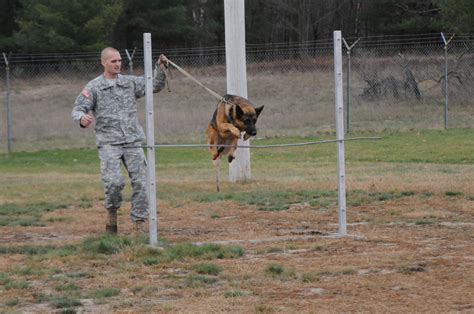 Dogs On Duty Military Working Dogs Offer One Of A Kind Partnership