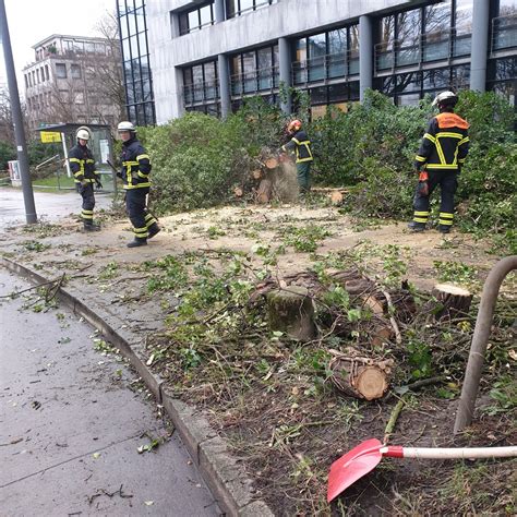 FEUERWEHR HAMBURG on Twitter Hamburg Rotherbaum 2 Bäume drohen