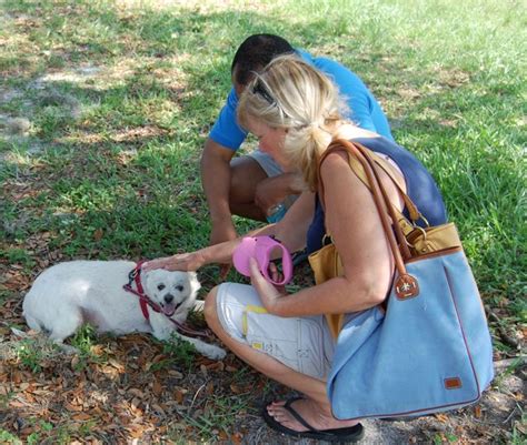 Sarasota County Animal Services Adoption Event | Sarasota Dog