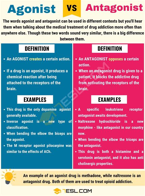 Antagonist Vs Agonist Agonists And Antagonists Mcascidos