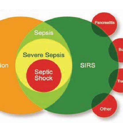 Pdf The Pre Hospital Sepsis Score Pss An Evidence Based Early