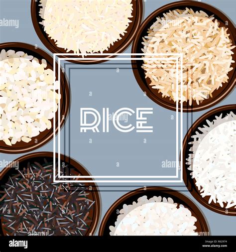 Diferentes tipos de arroz en tazones El basmati salvaje jazmín