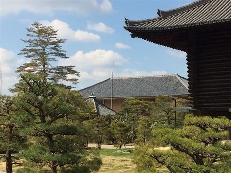 Mapstr Worship Todaiji Temple Shosoin Temple Treasure House Nara City