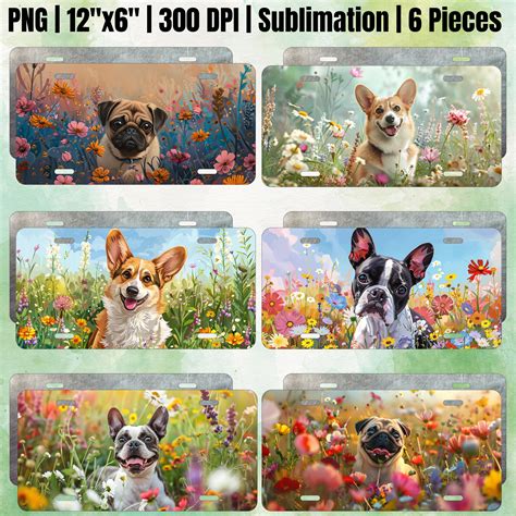License Plate Png License Plate Design Dog License Plate Dog