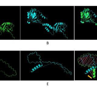 Protein Structure Prediction And Alignment Deepmind S Alphafold