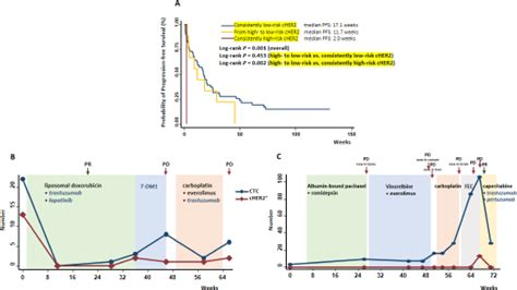 Prognostic value of HER2 status on circulating tumor cells in advanced ...