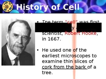 IB Biology 1.1 Introduction to Cells (SL & HL) by IB Biology Teaching ... 