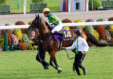 Jra武豊ランブリングアレーvs川田将雅サトノルークス！ 名だたる騎手たちが夏の小倉競馬に大集結 荒れ模様の“ハンデ重賞”を制するのは