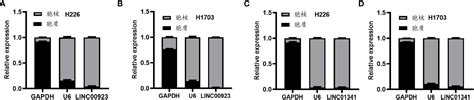 Frontiers Identification Of Prognosis Related Lncrnas And Cell