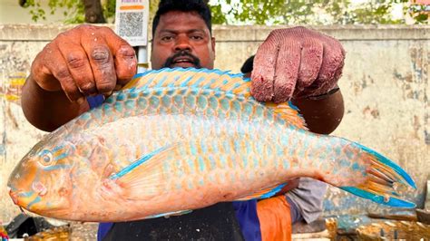 KASIMEDU SPEED SELVAM PARROT FISH CUTTING IN KASIMEDU HD