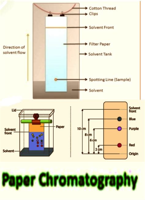 Chromatography Definition By Lab Technician Medium