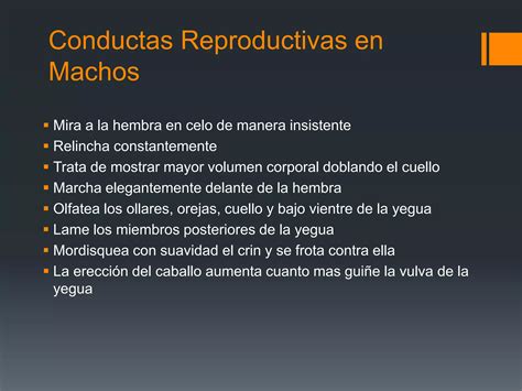 Manejos De Control Reproductivo En Equinos Ppt Descarga Gratuita