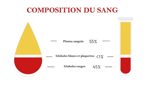 Plasma Sanguin R Le Don Composition C Est Quoi