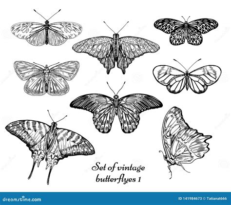 Vintage Butterfly Hand Drawn Vector Set Illustration Stock Vector