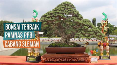 10 Bonsai Terbaik Kelas Pratama Madya Utama Di PAMNAS PPBI Cabang