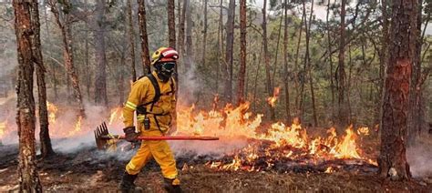 Incendio En Atemajac De Brizuela Las Impactantes Im Genes Del Fuego