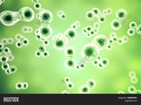 green cell background image photo  trial bigstock