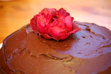 Greedy For Colour: A Gluten Free Chocolate Cake!!! Also good for gluten