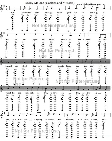 Molly Malone Guitar Chords