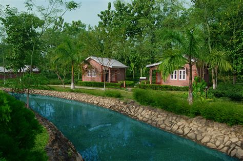 Dhanshree Resort Kaziranga National Park | Hotel Dhanshree at Kaziranga