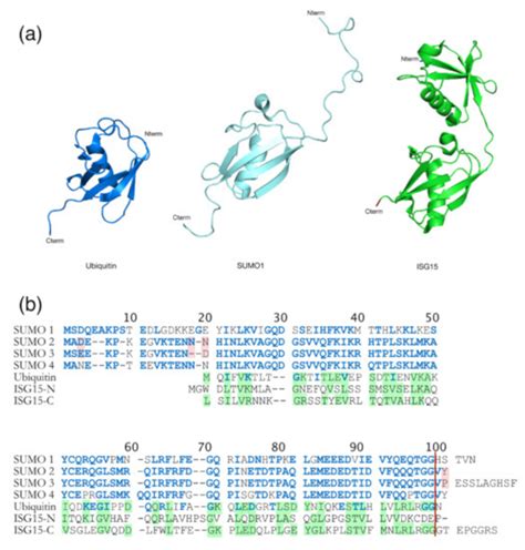 Ijms Special Issue Ubiquitin Conjugating Or Deubiquitinating