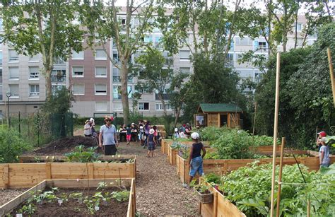 Mixité sociale dans les jardins partagés conseils et points de