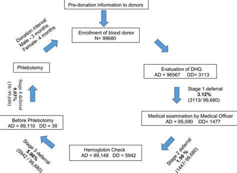 Pre Donation Screening Process And Stages Of Donor Deferral Bolded