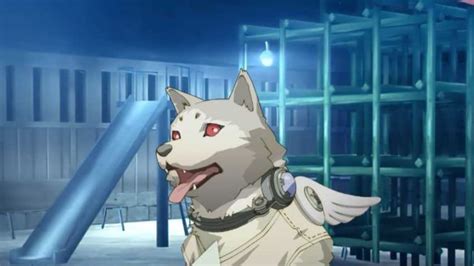 Persona 3 Portable: Strength Arcana Koromaru social link guide - Video ...